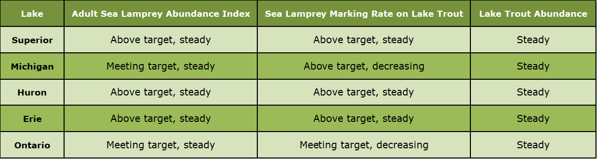 Chart showing sea lamprey abundance, wounds on lake trout and laketrout abundance for each great lake
